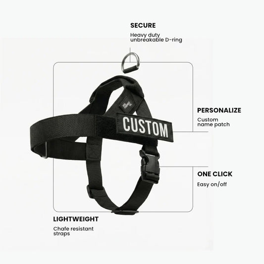 PetComfort