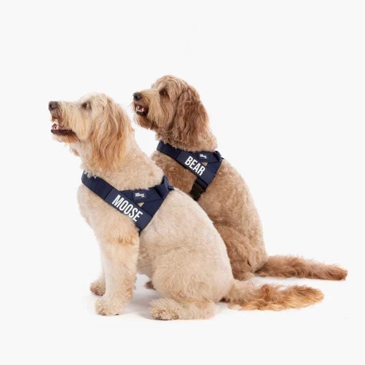 PetComfort