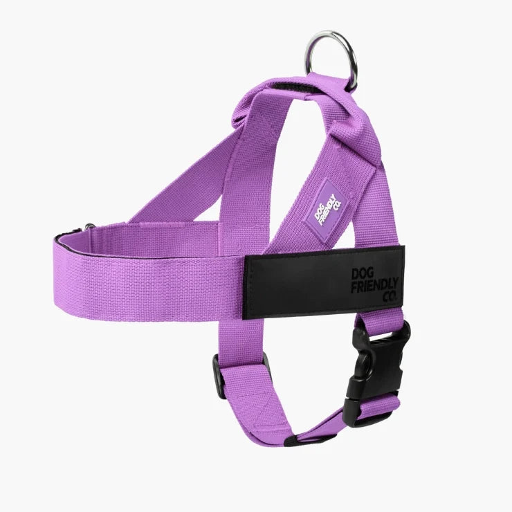 PetComfort