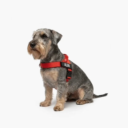 PetComfort