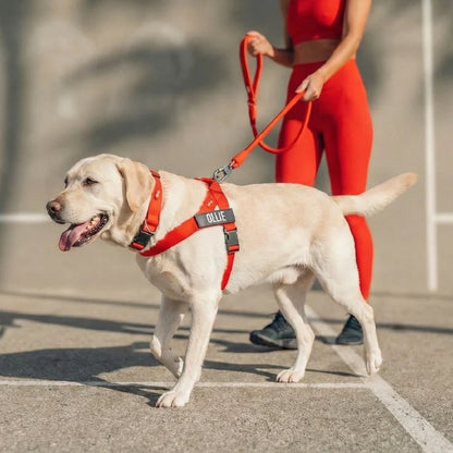 PetComfort