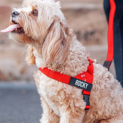 PetComfort