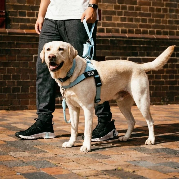 PetComfort