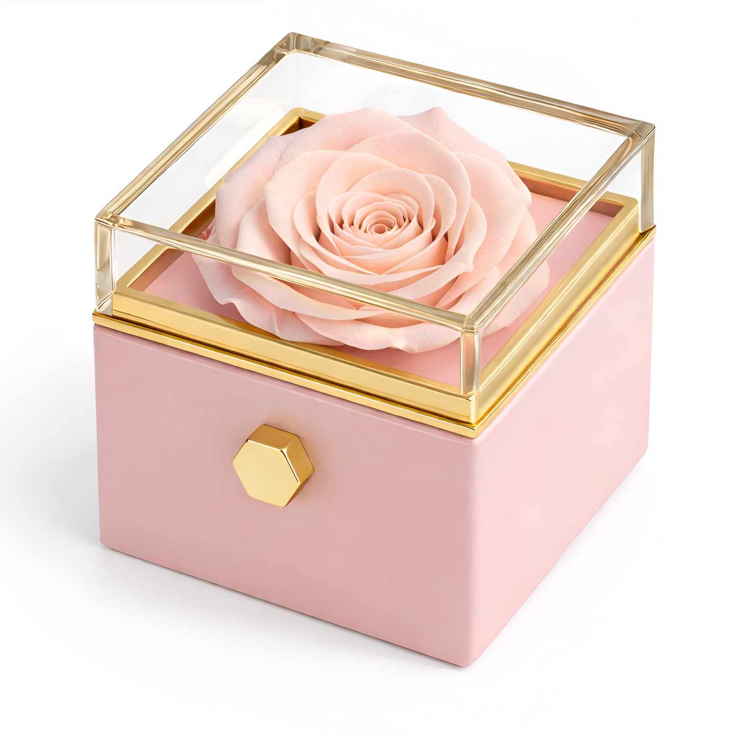 Eternal Rose Box | Real Rose and Personalised Necklace
