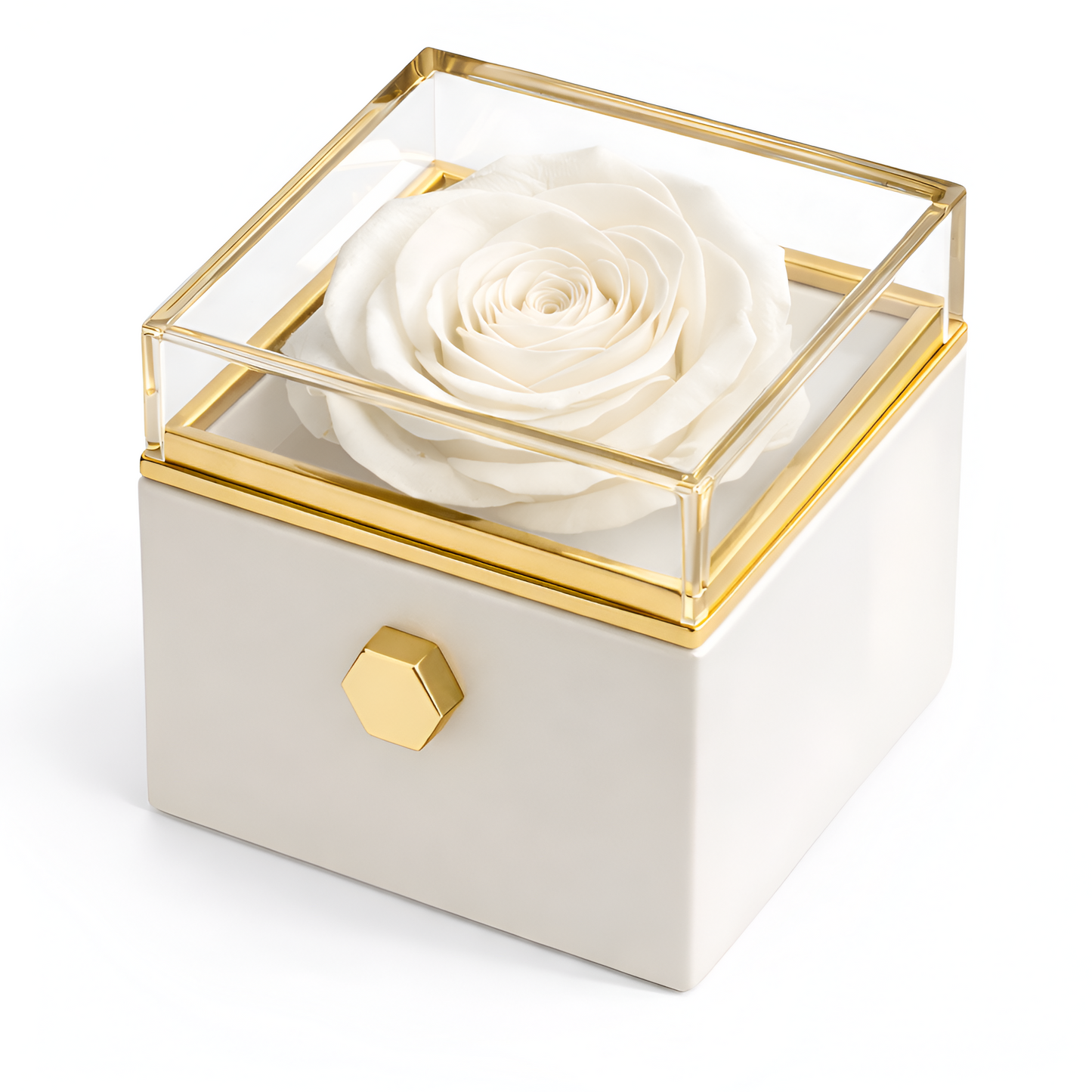 Eternal Rose Box | Real Rose and Personalised Necklace