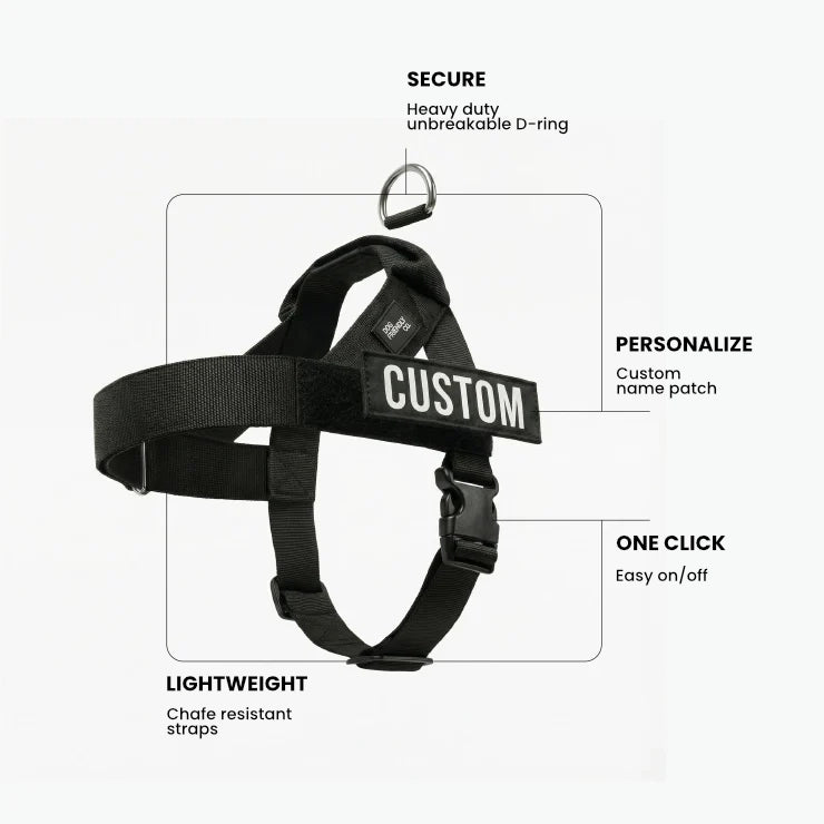 PetComfort