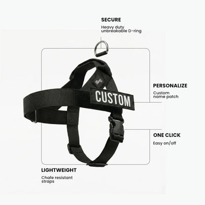 PetComfort