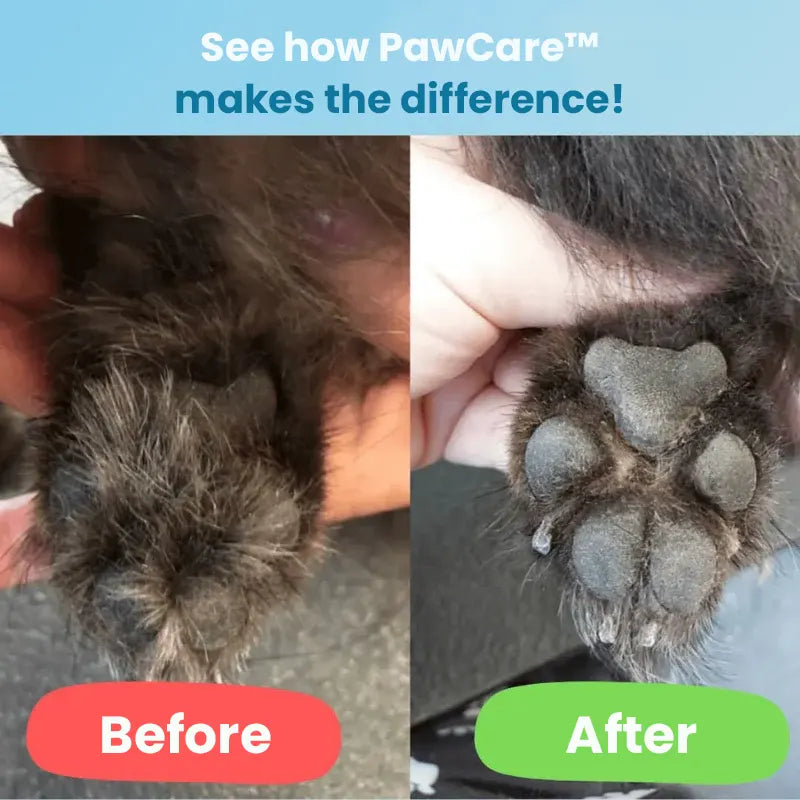 PawCare™
